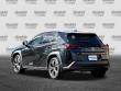 2023 LEXUS UX 250h SUV