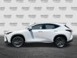 2024 LEXUS NX 350 SUV