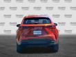 2024 LEXUS NX 250 SUV