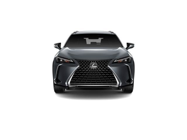 LEXUS UX 300h 300h