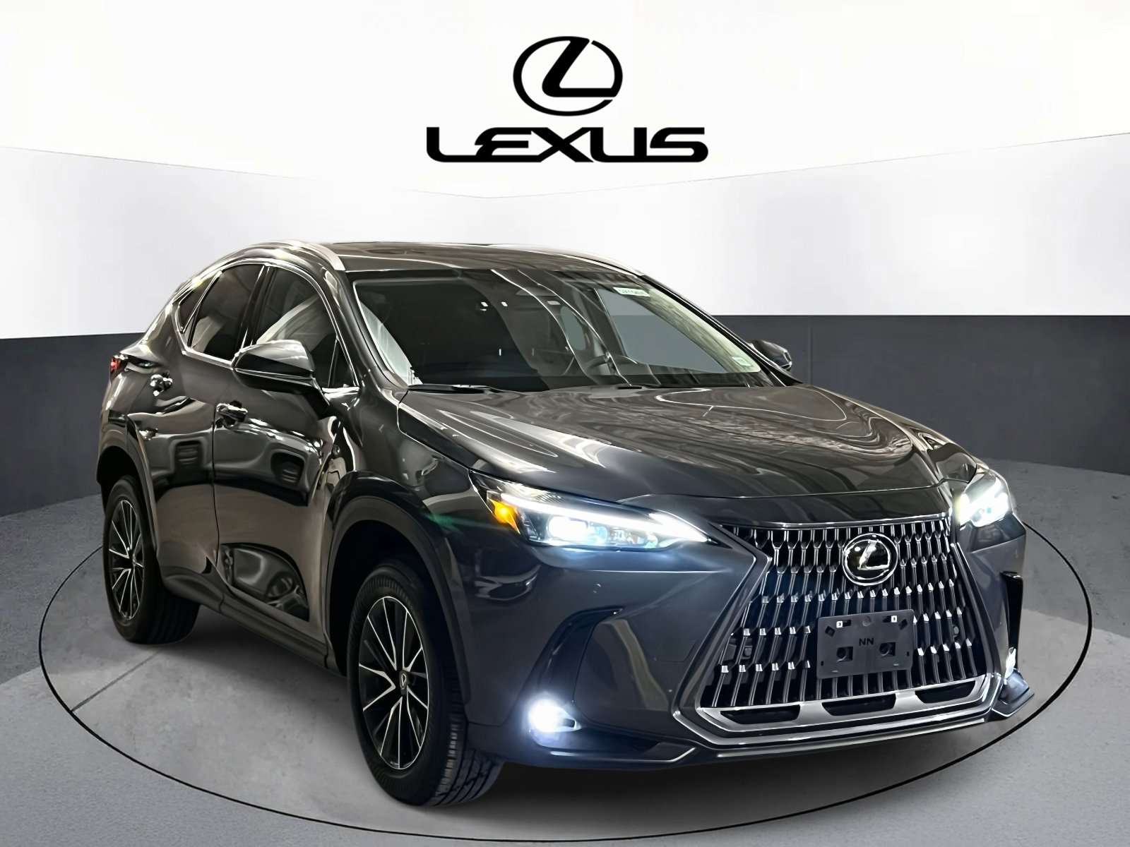 2025 Lexus NX 350's photo