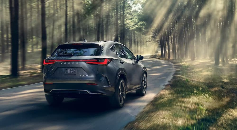 A Grey 2023 Lexus NX is shown from the rear at an angle.