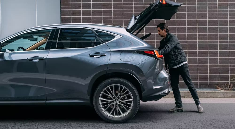 A man is shown putting cargo into the rear of a grey 2023 Lexus NX.