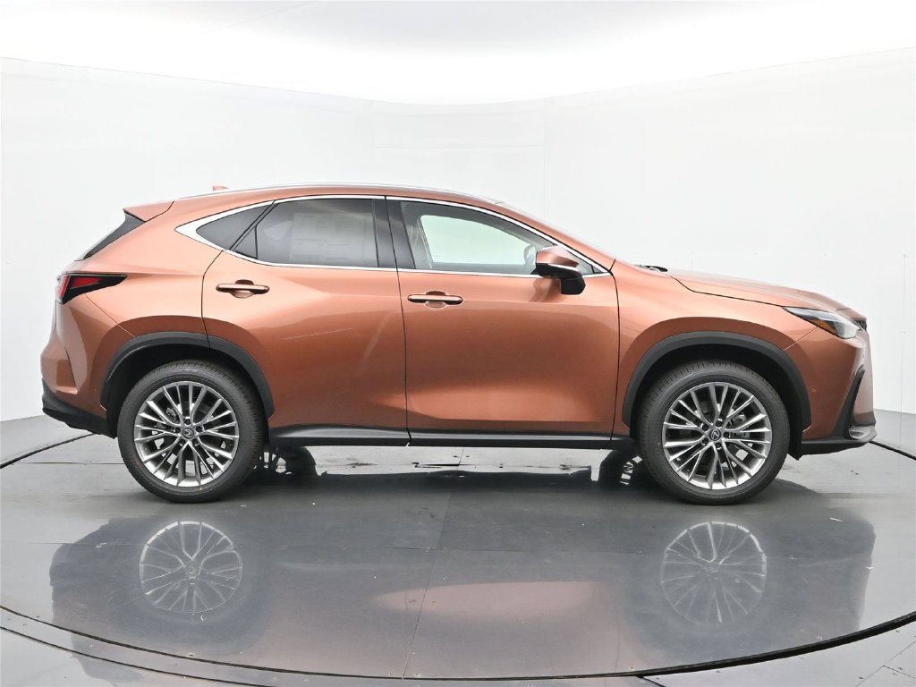 2026 Lexus NX 6