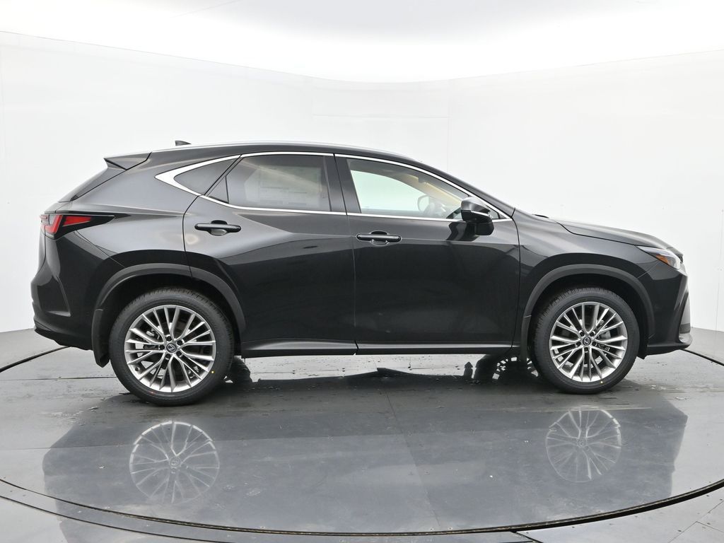 2026 Lexus NX 350 Luxury - Photo 6