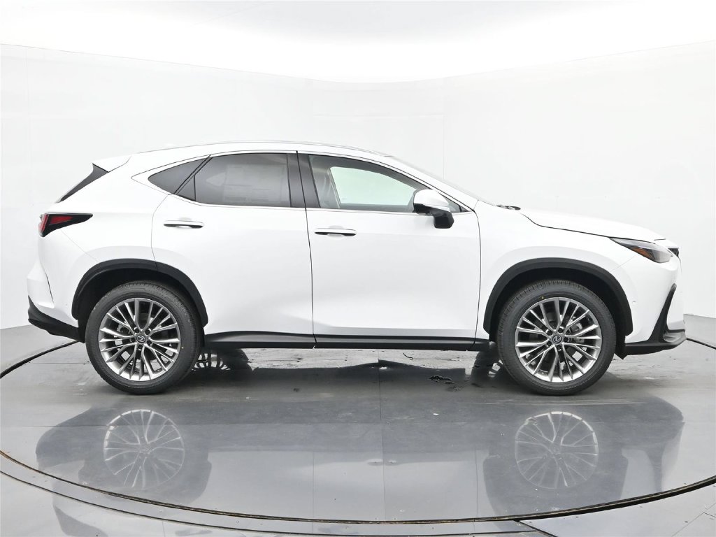 2026 Lexus NX 6