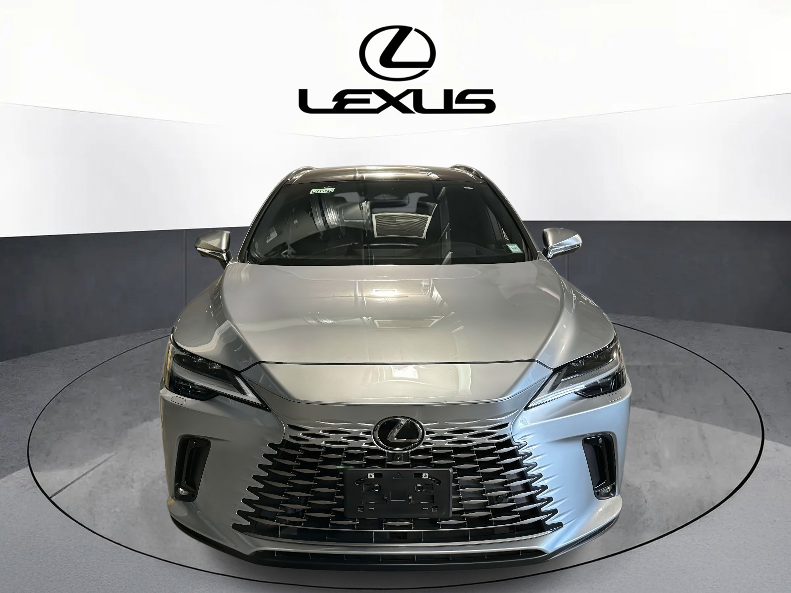 2023 Lexus RX 350 Luxury photo 2