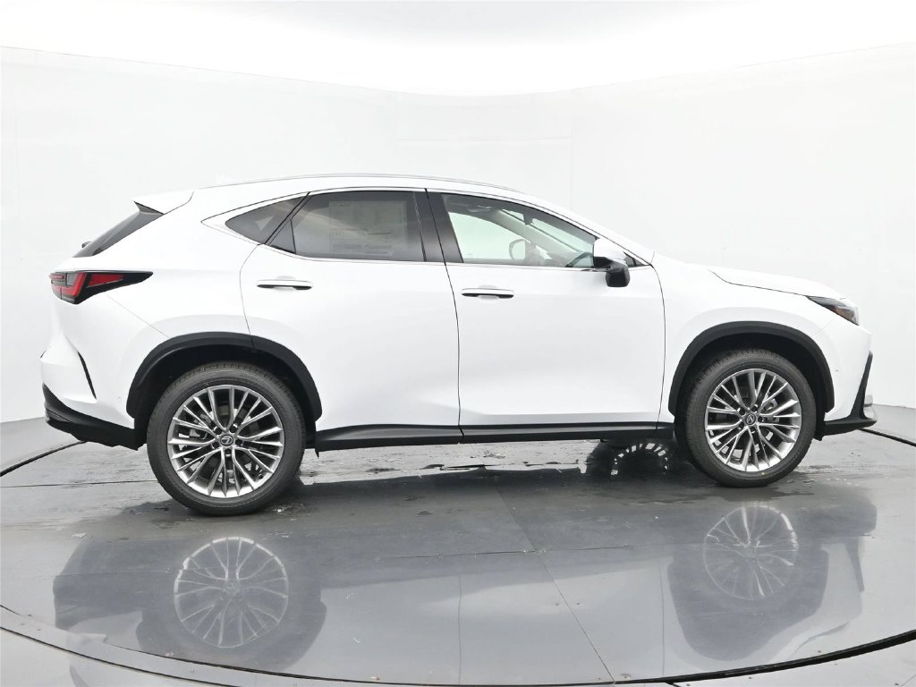 2026 Lexus NX 6