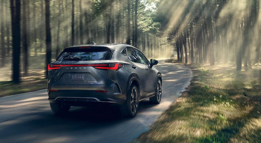 A grey 2024 Lexus NX is shown from the rear at an angle.