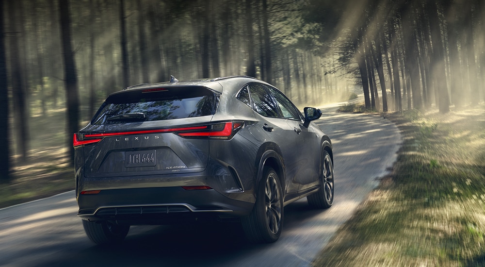 Rear view of a grey 2024 Lexus NX 450h+ driving in the woods.
