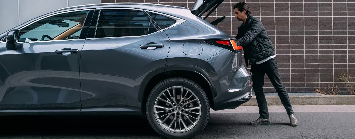 A man is getting bags from the rear of a grey 2025 Lexus NX.