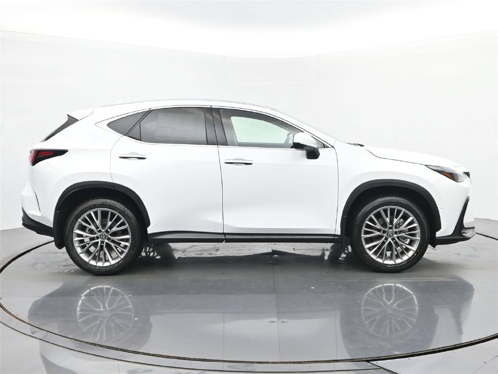 2026 Lexus NX 6