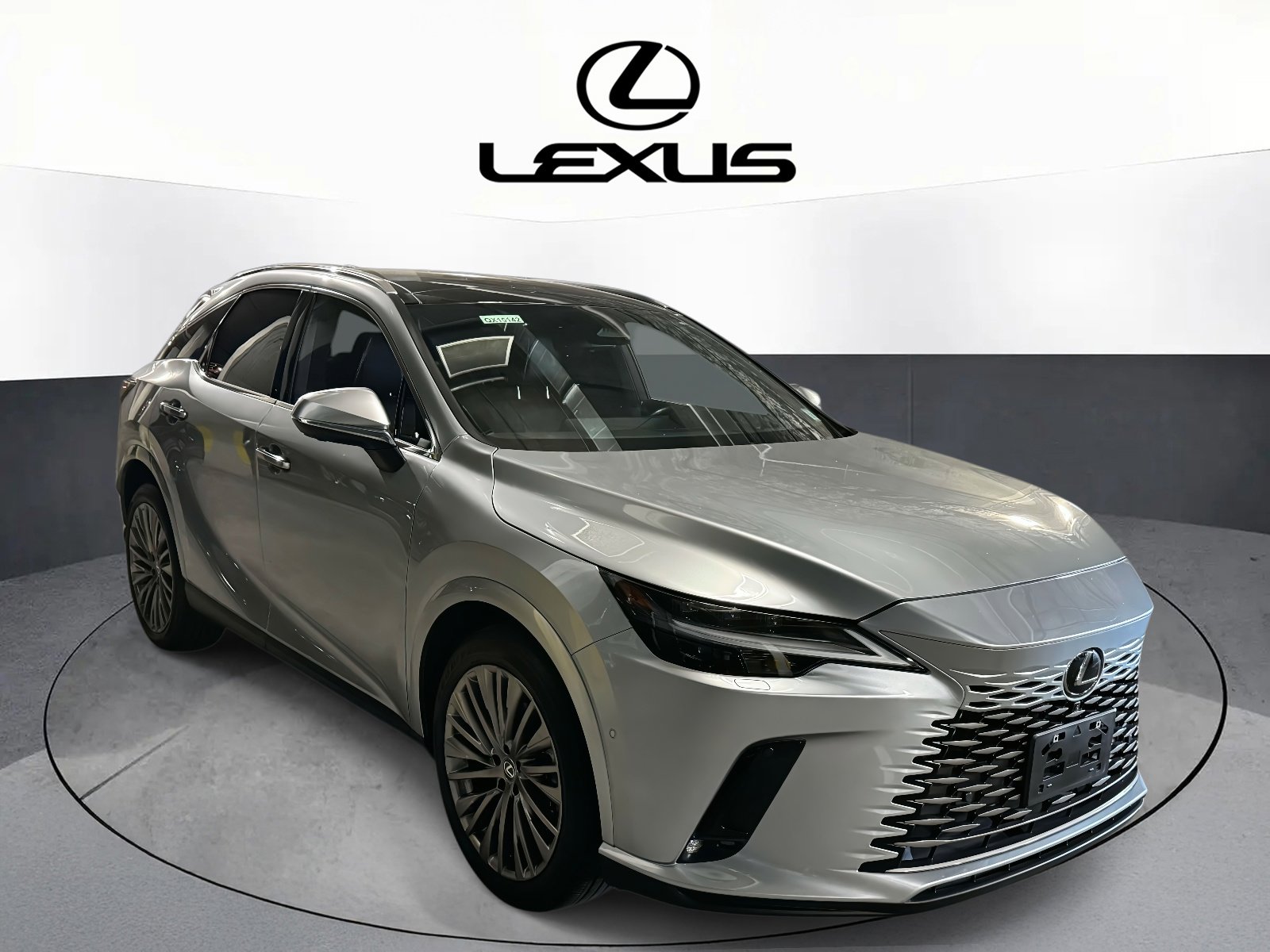 2023 Lexus RX 350 Luxury photo 3
