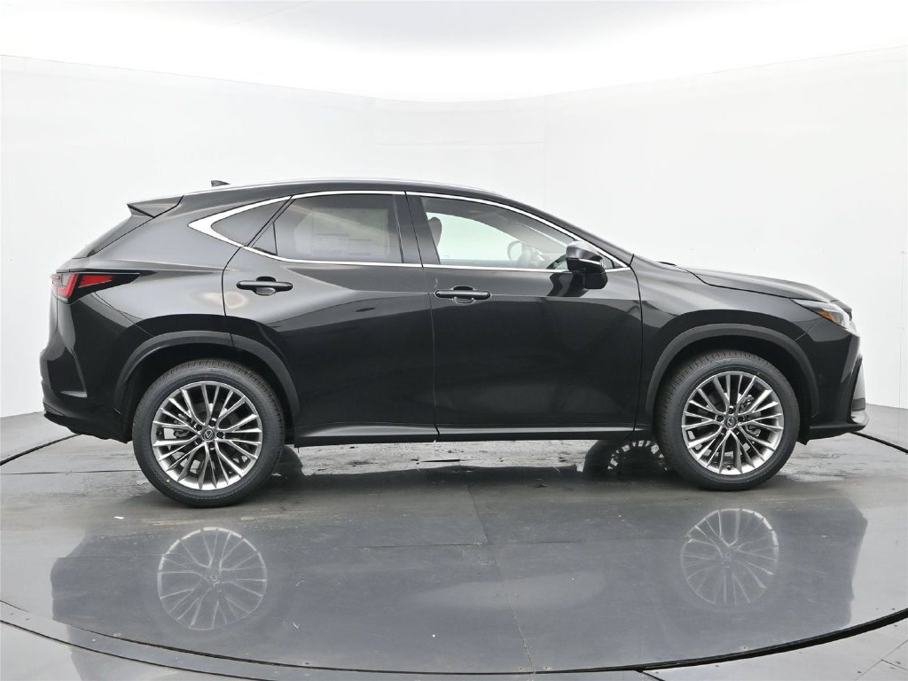 2026 Lexus NX 6