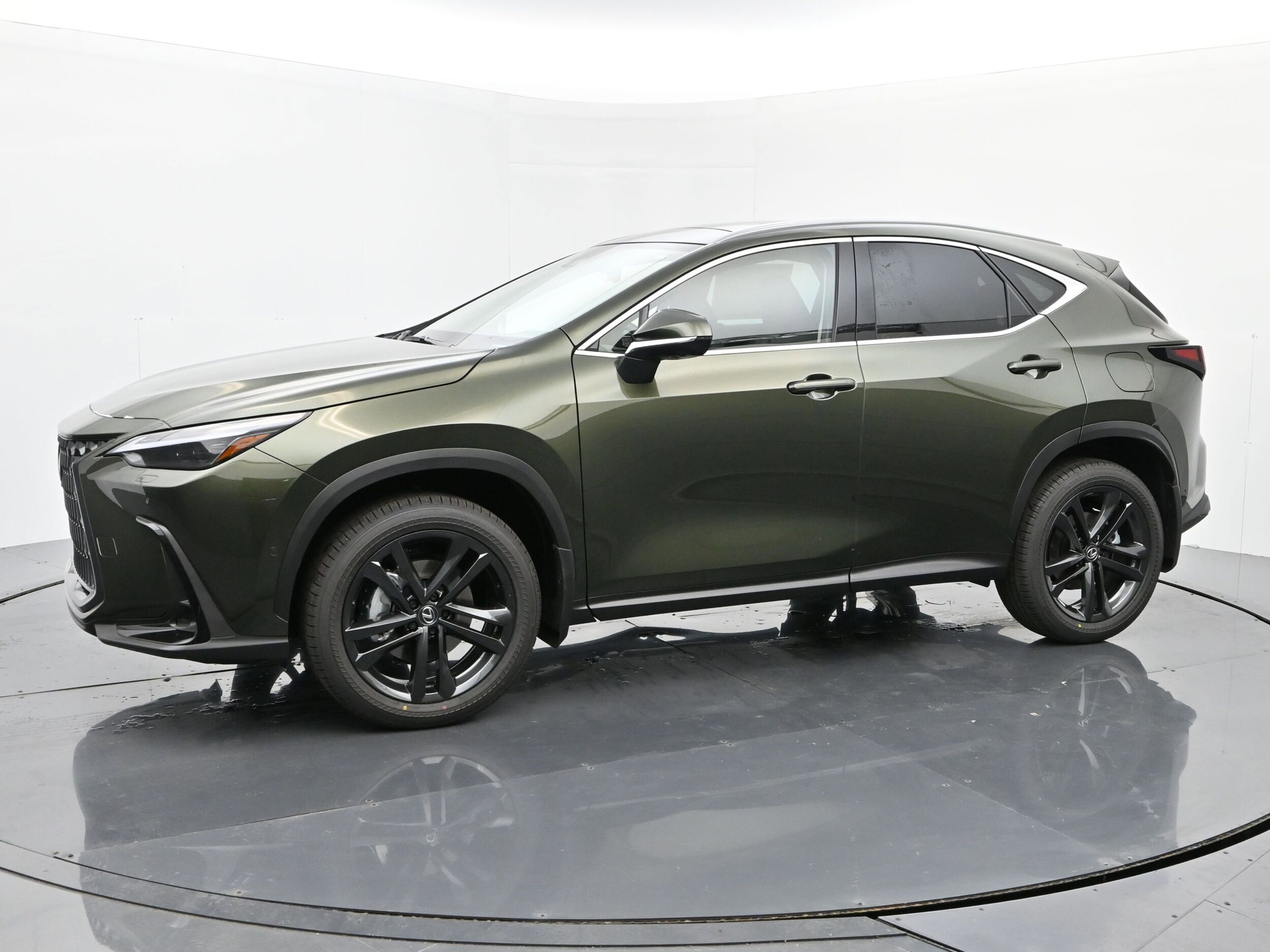 2025 Lexus NX 450h+ Luxury photo 2