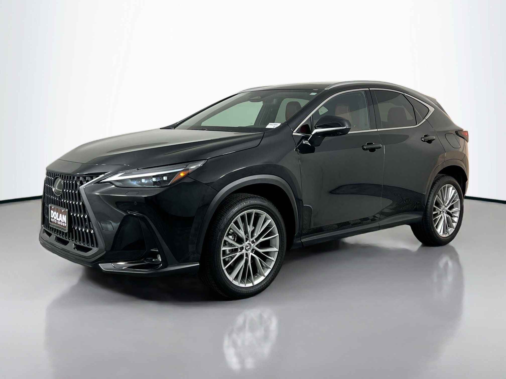 2025 Lexus NX 350 Luxury photo 3