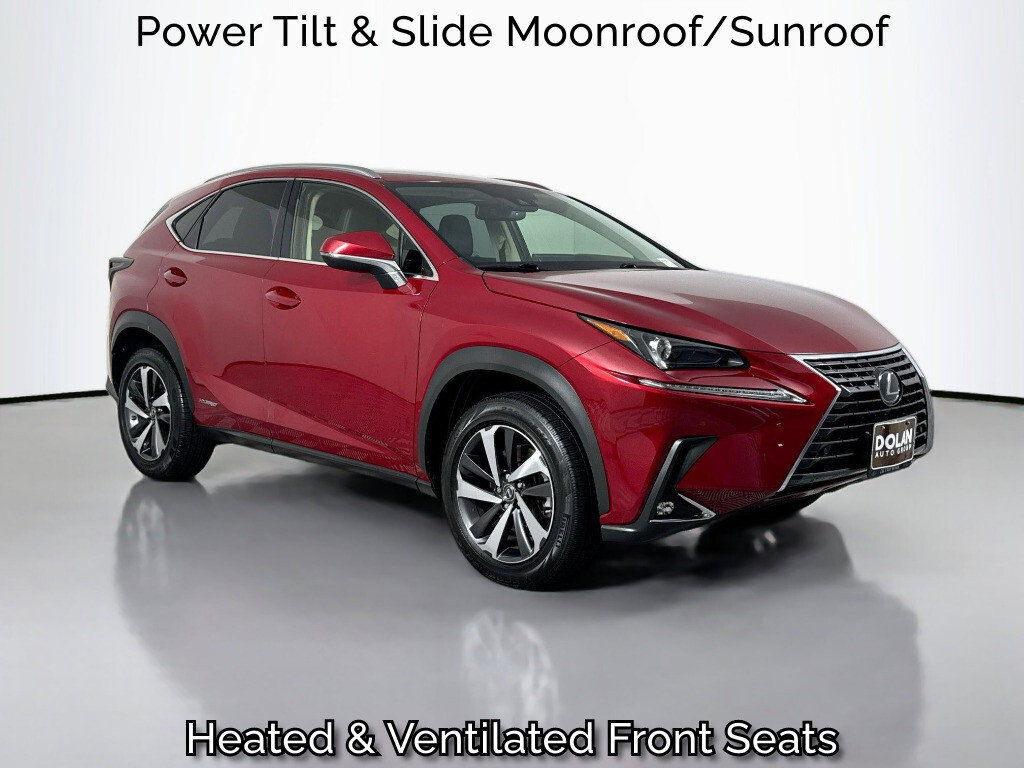 2018 Lexus NX 300h's photo