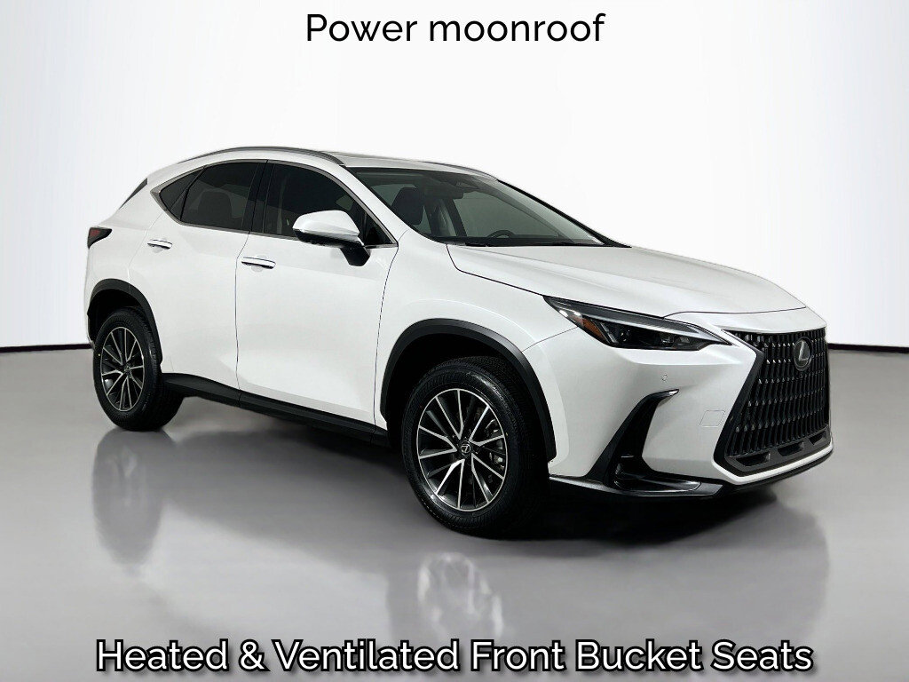 2024 Lexus NX 350's photo