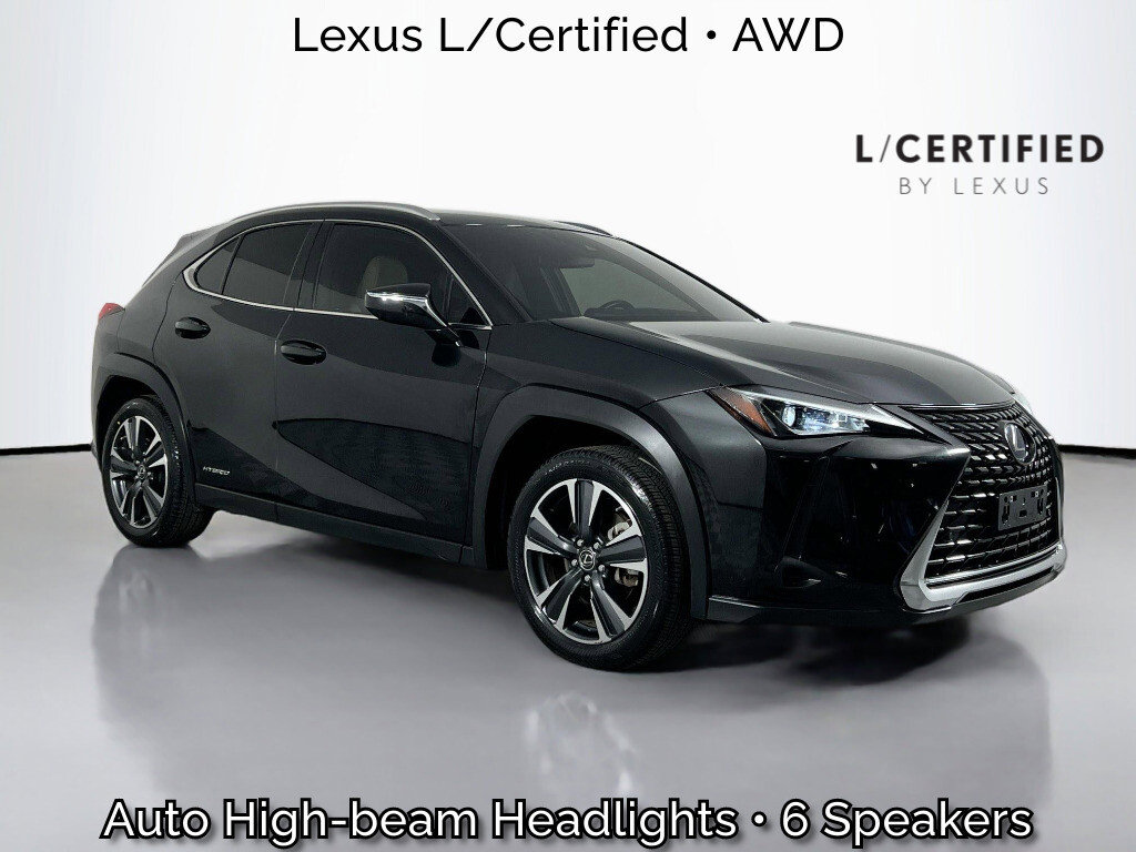 2022 Lexus UX 300h 250h AWD's photo