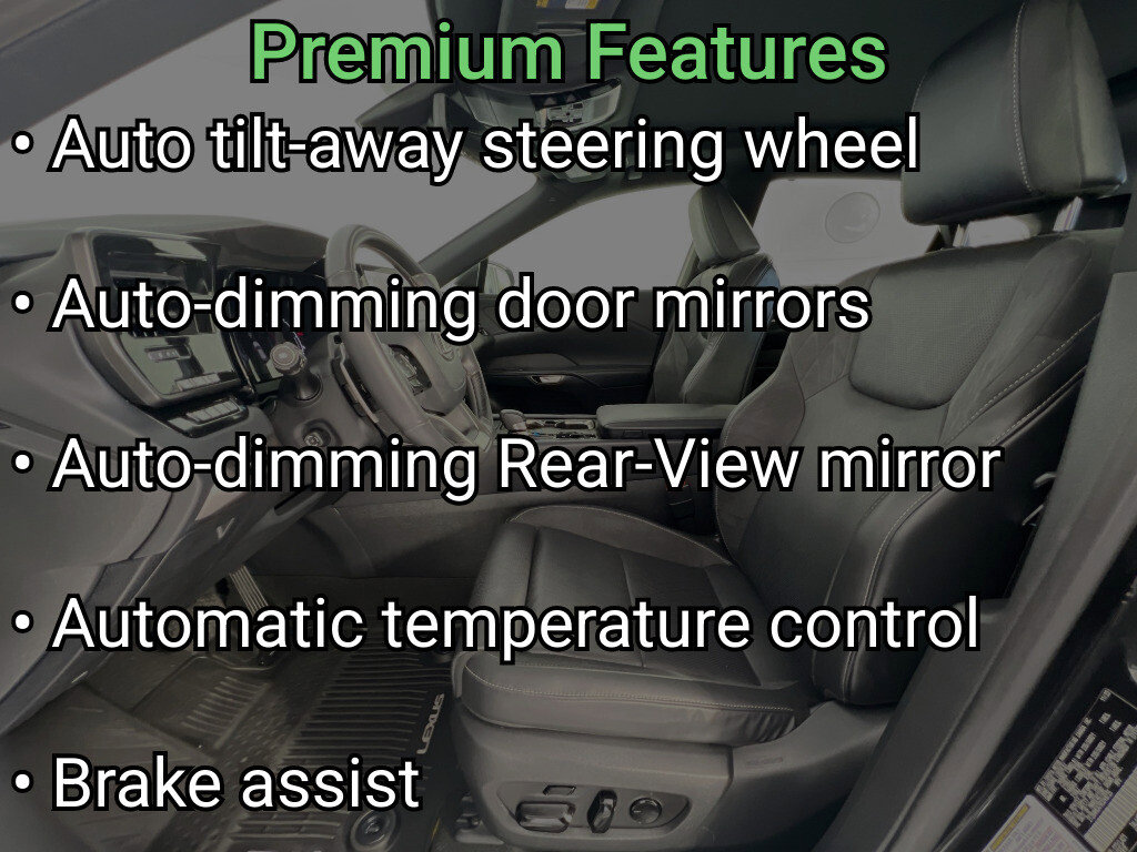 2024 Lexus RX 350 - Photo 20