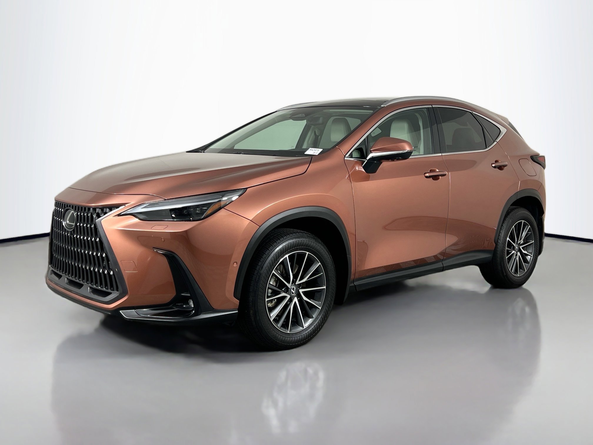 2025 Lexus NX 350h Luxury photo 4