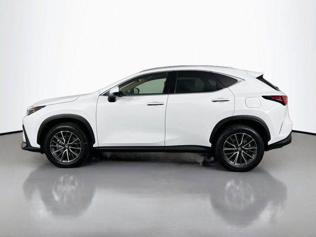 2026 Lexus NX 350 Premium photo 3
