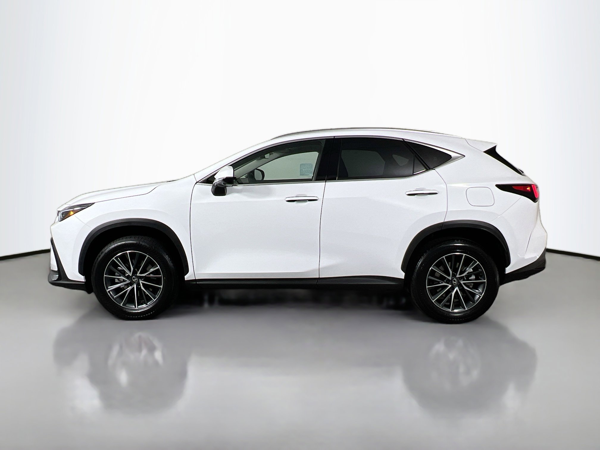 2026 Lexus NX Luxury photo 3