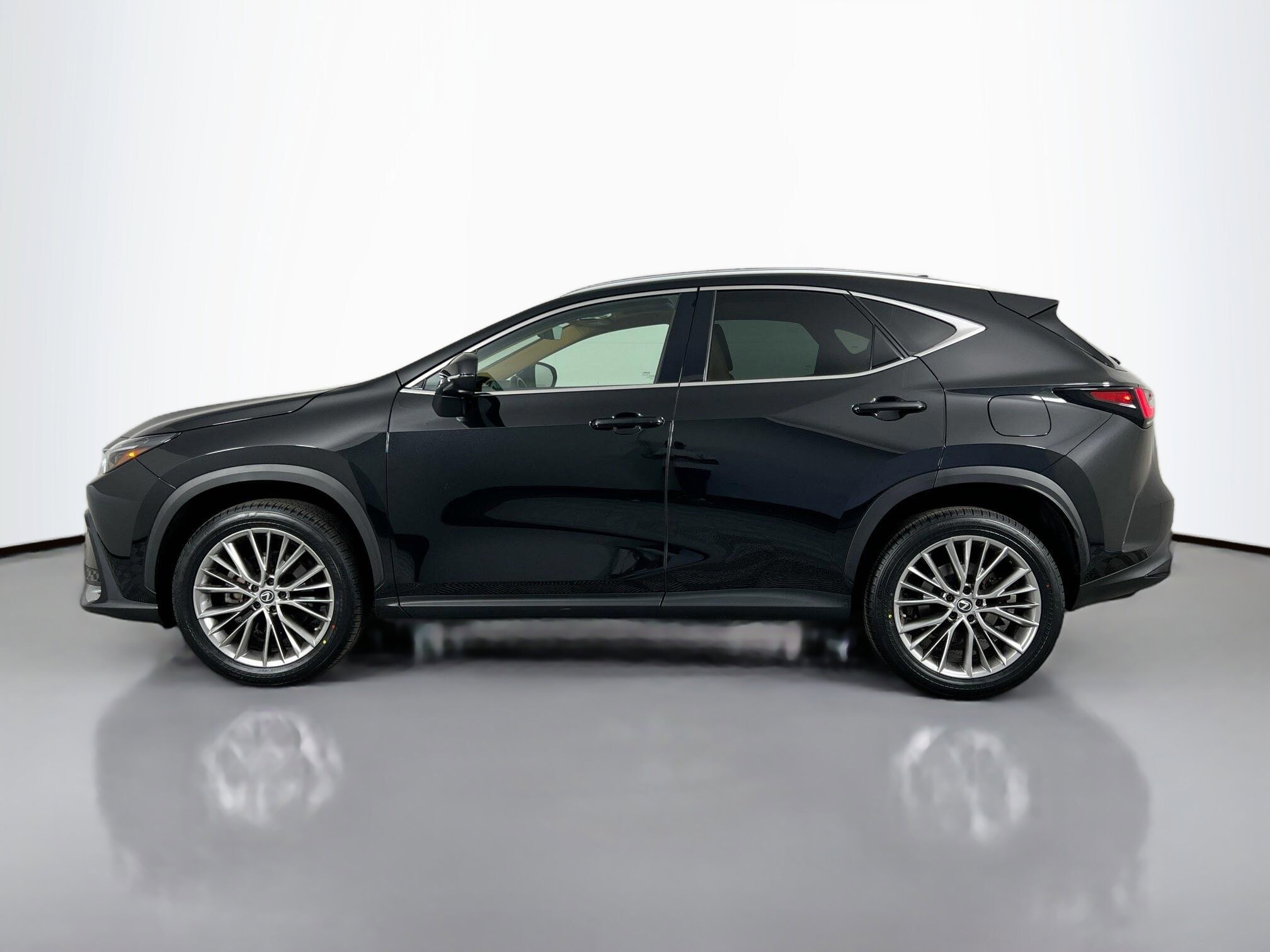 2023 Lexus NX 350 Luxury photo 2