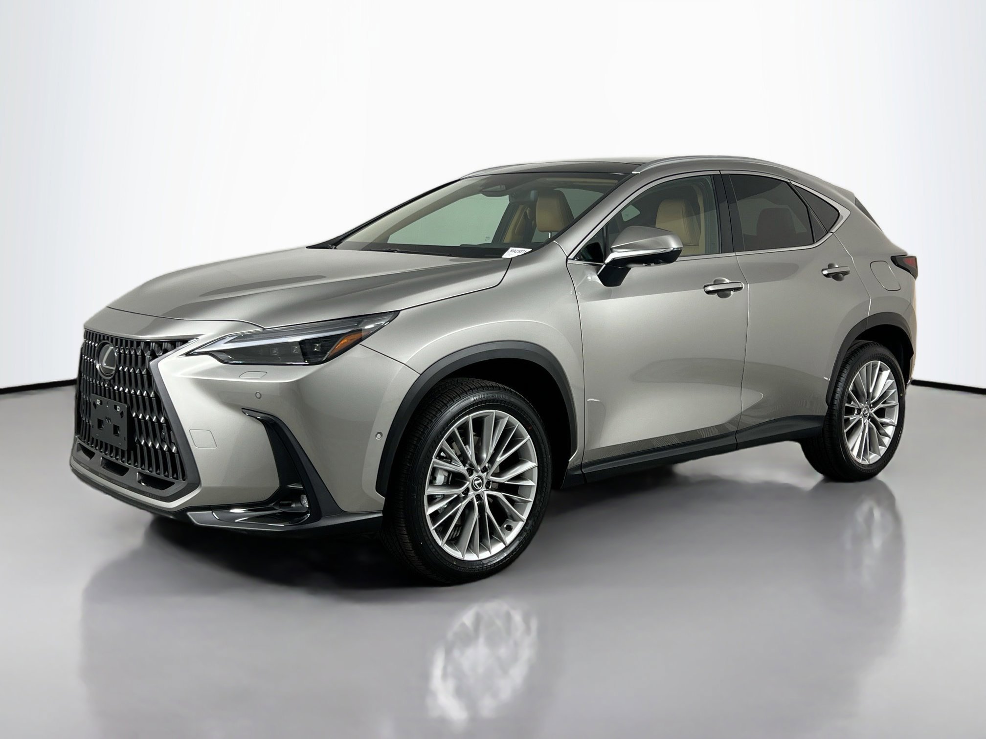 2025 Lexus NX 350 Luxury photo 4