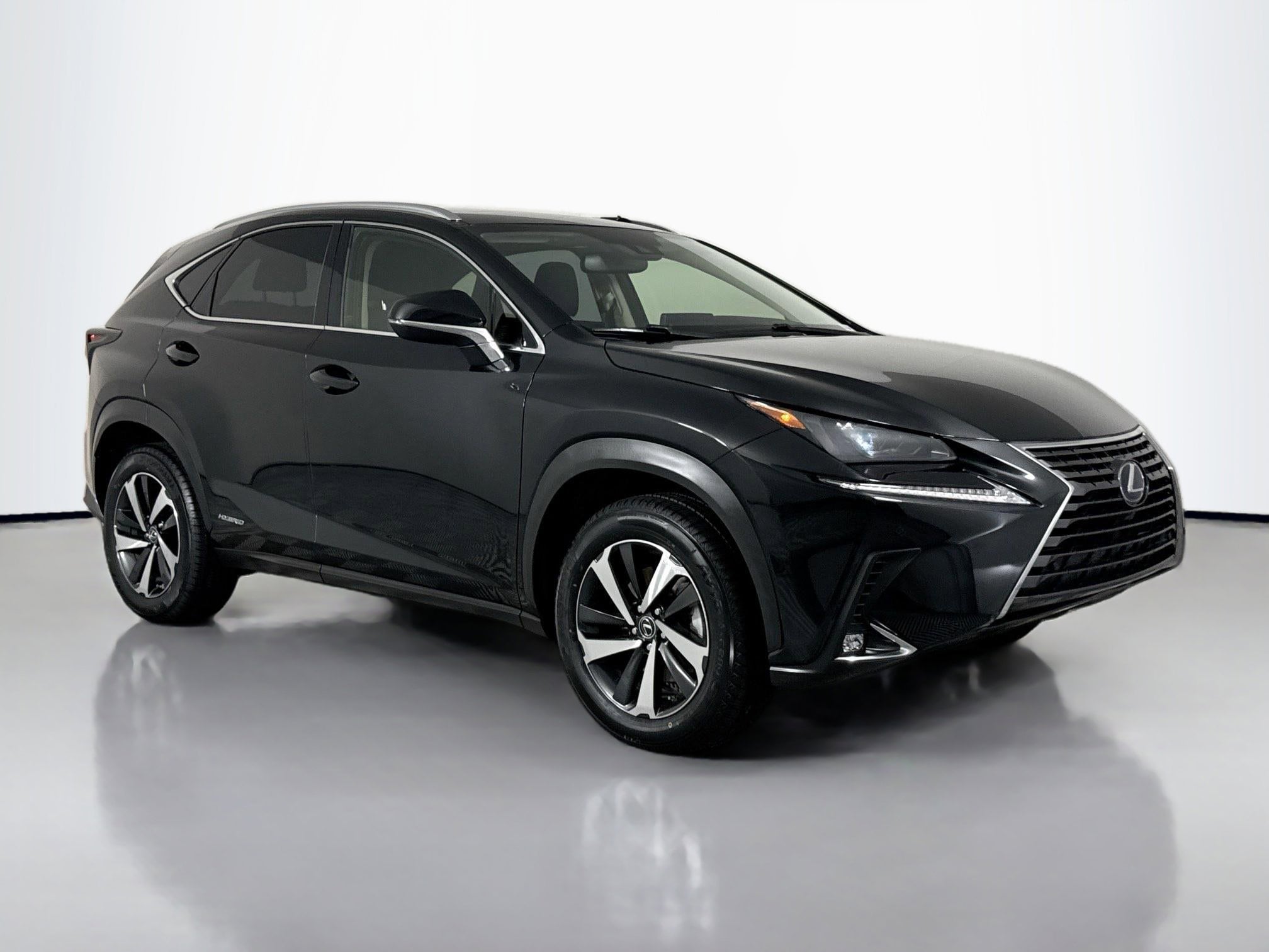 2021 Lexus NX 350h 300h AWD's photo