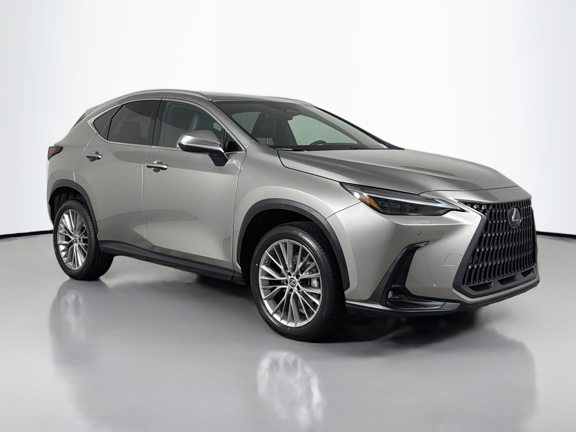 2023 Lexus NX 350 350 Luxury AWD's photo