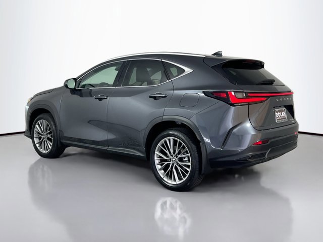 2026 Lexus NX 350 Luxury photo 4
