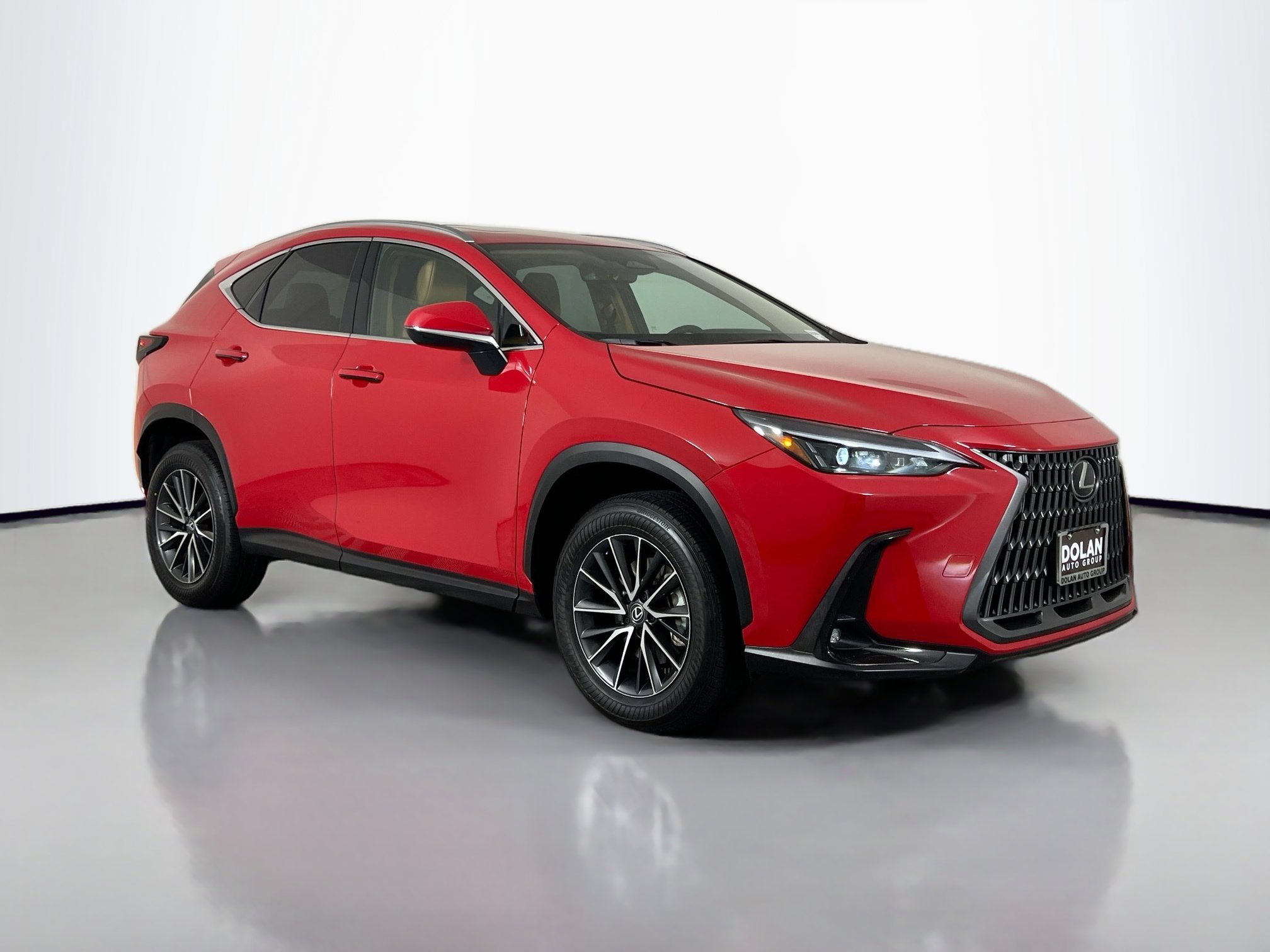 2024 Lexus NX 350h 350h AWD's photo