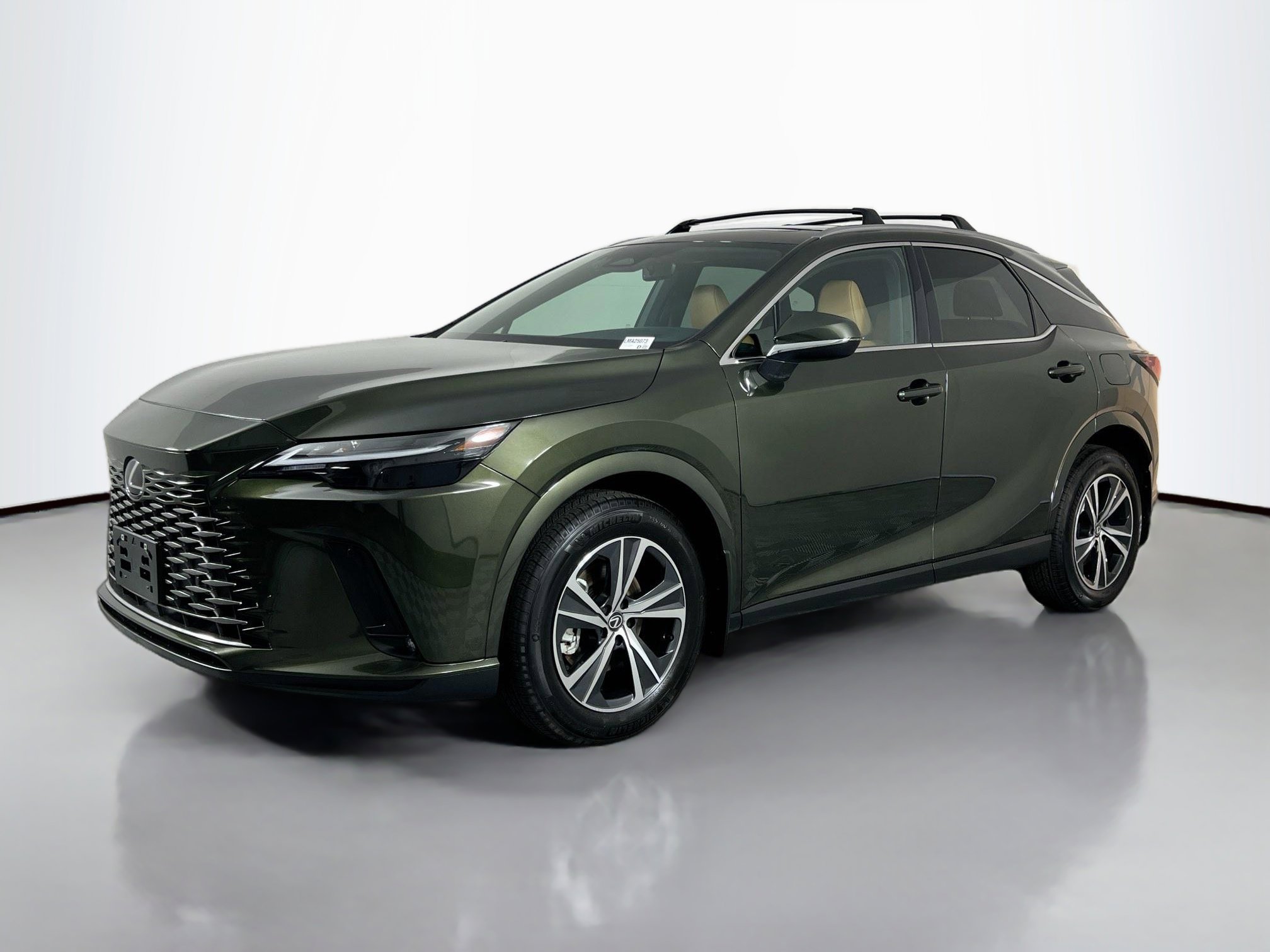 2025 Lexus RX 350h photo 2
