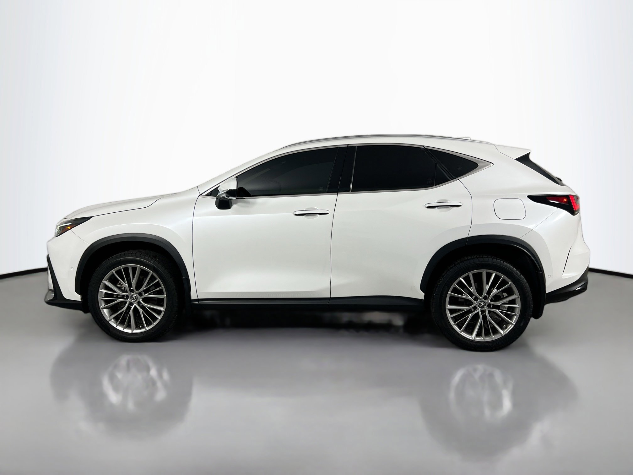 2022 Lexus NX 350h Luxury photo 2