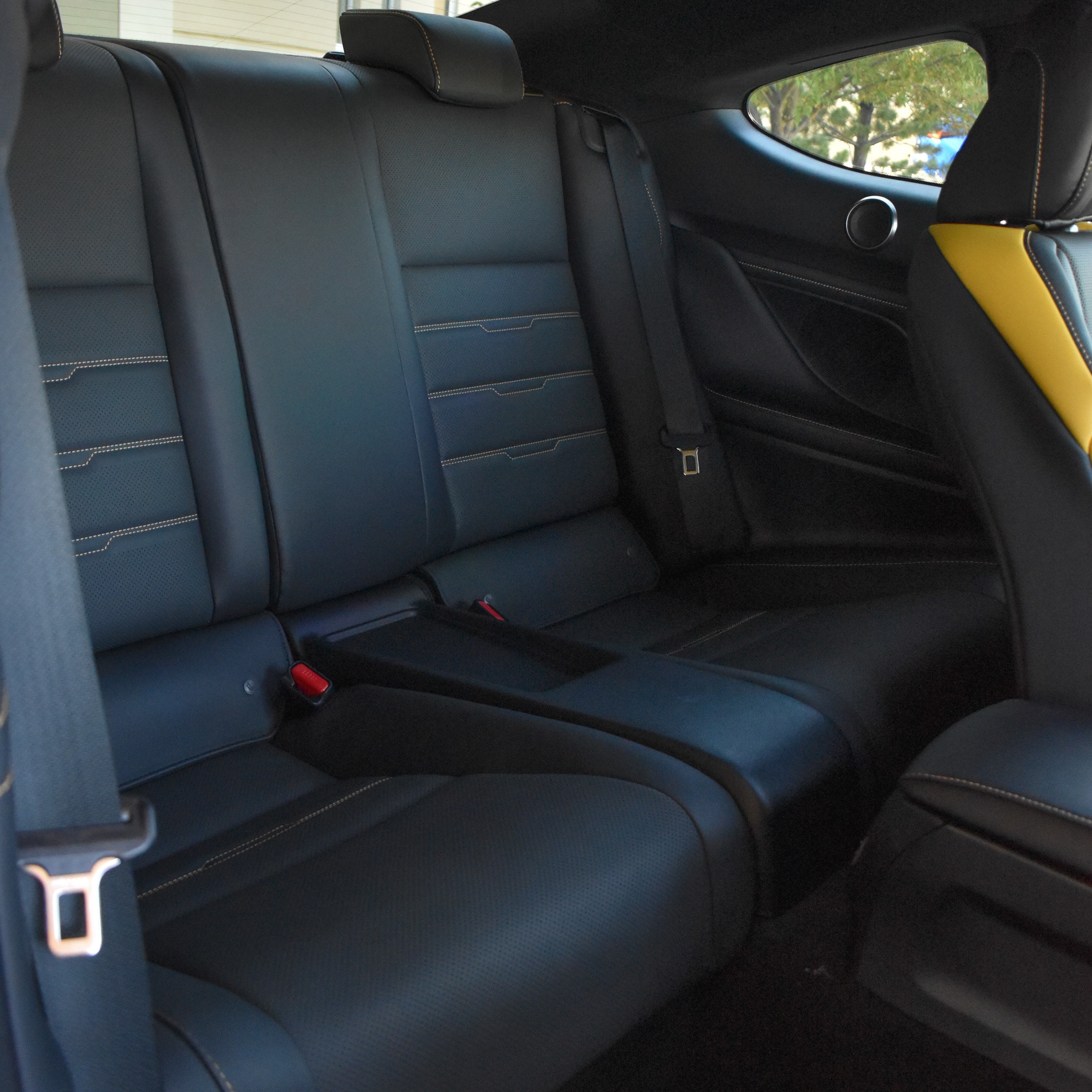 BackSeatPic.jpg
