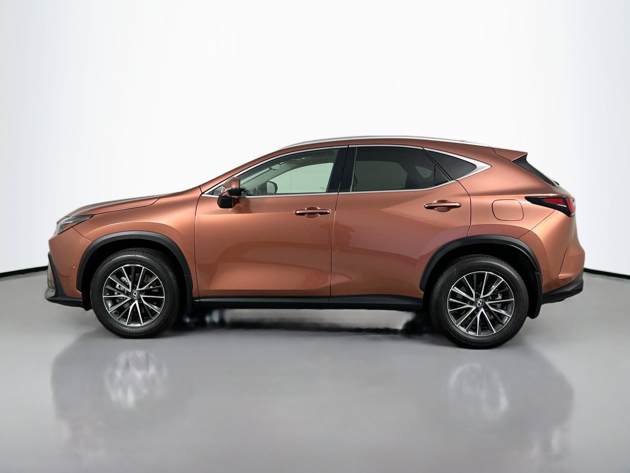 2025 Lexus NX 350h Luxury photo 2