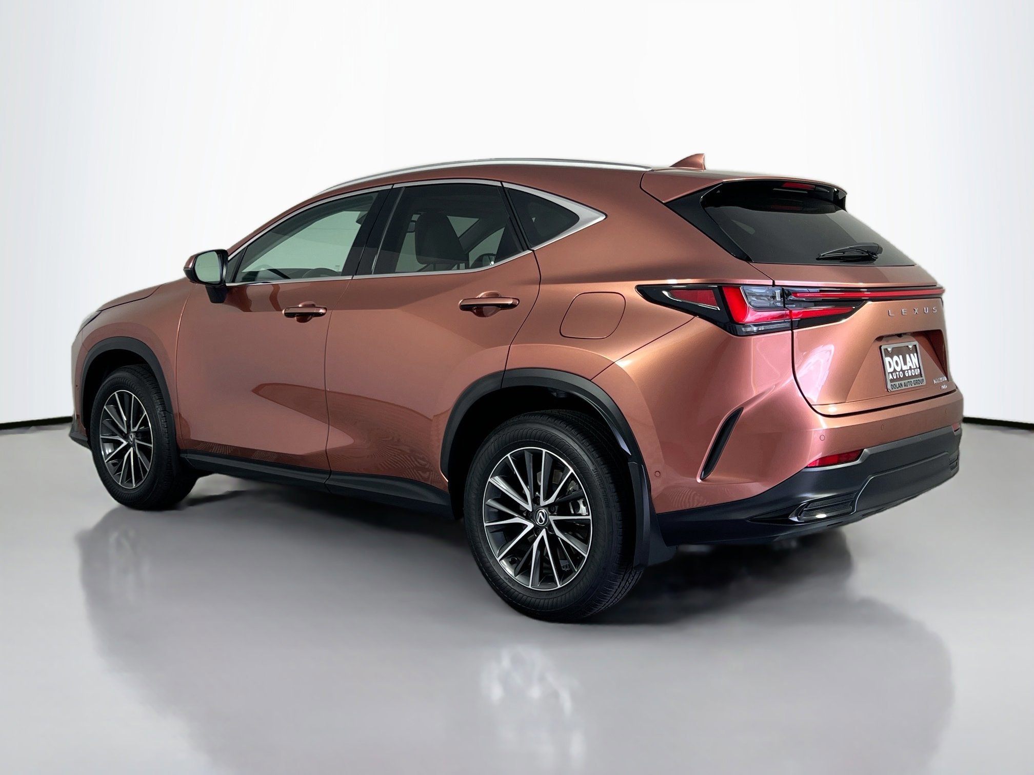 2025 Lexus NX 350h Luxury photo 3