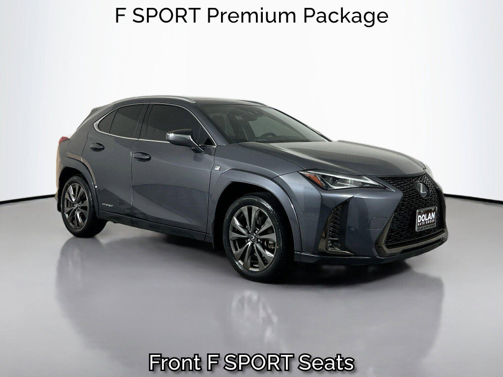 2022 Lexus UX 300h 250h F SPORT AWD's photo