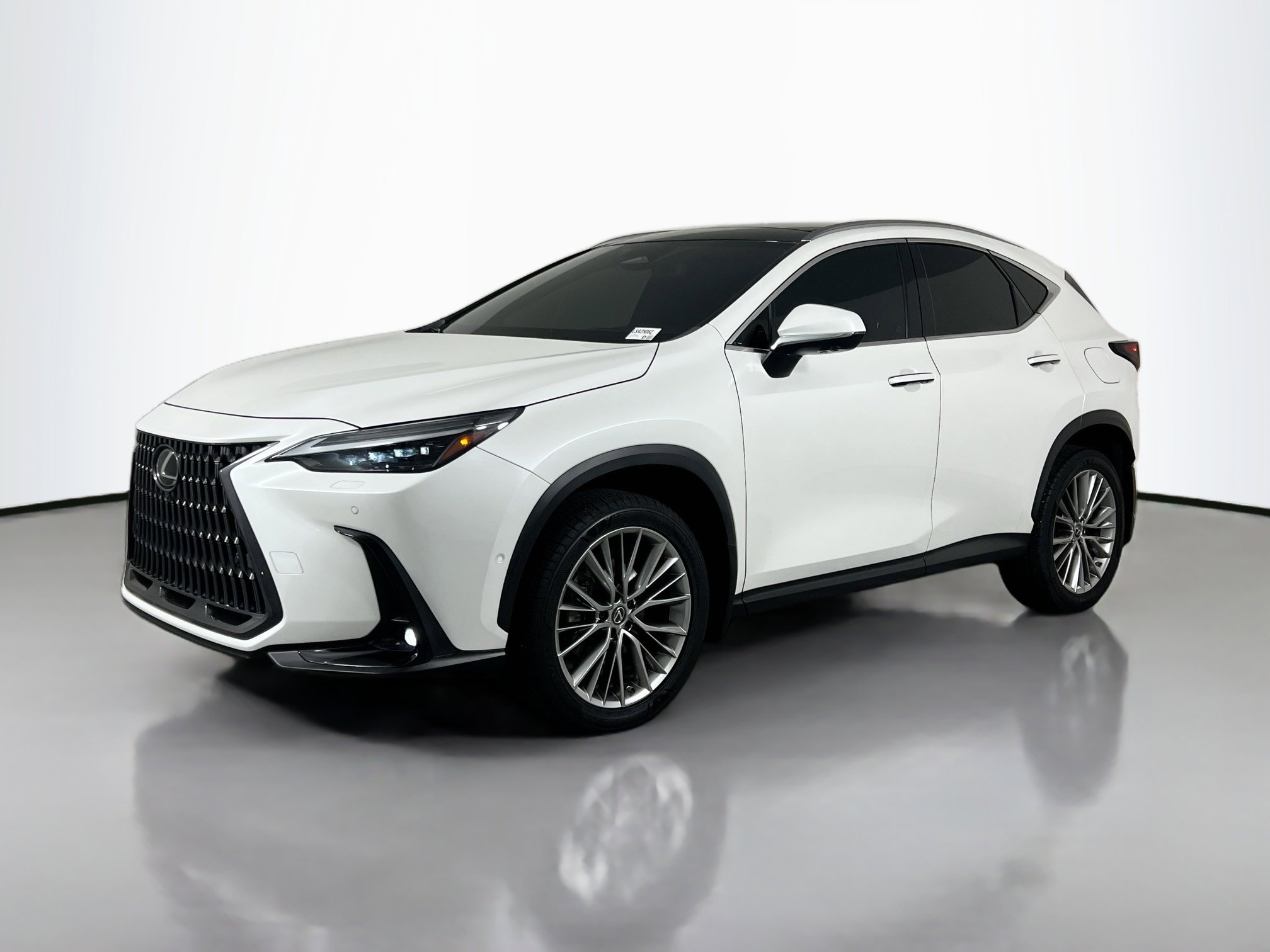 2022 Lexus NX 350h Luxury photo 2