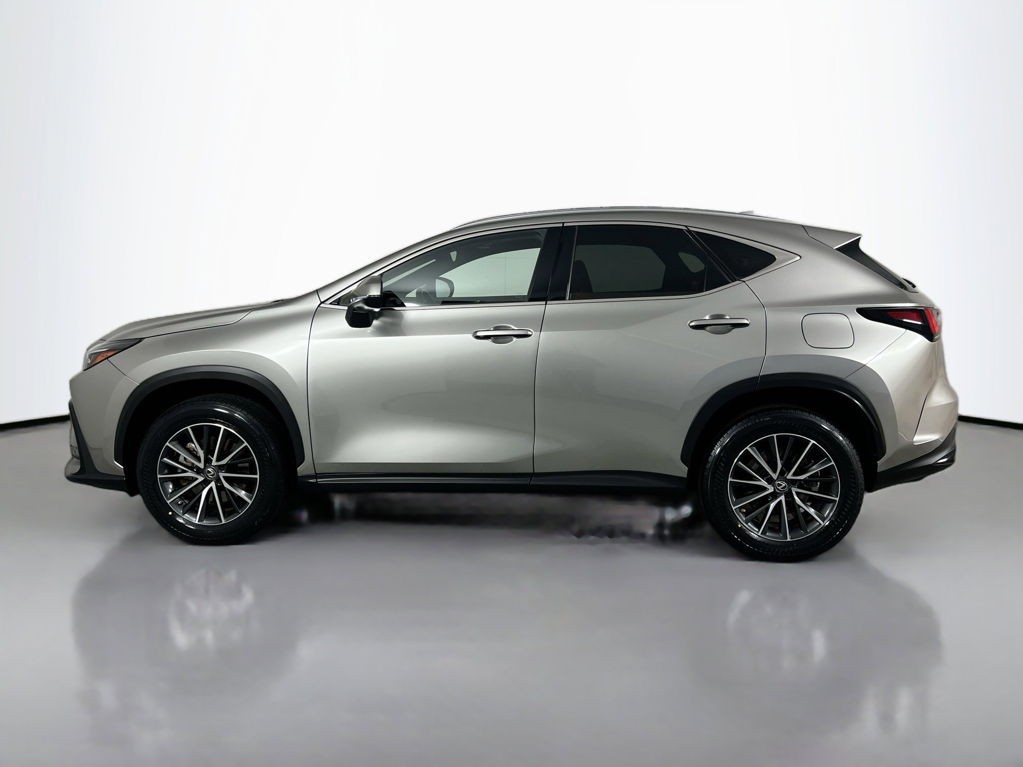 2023 Lexus NX 350h photo 2