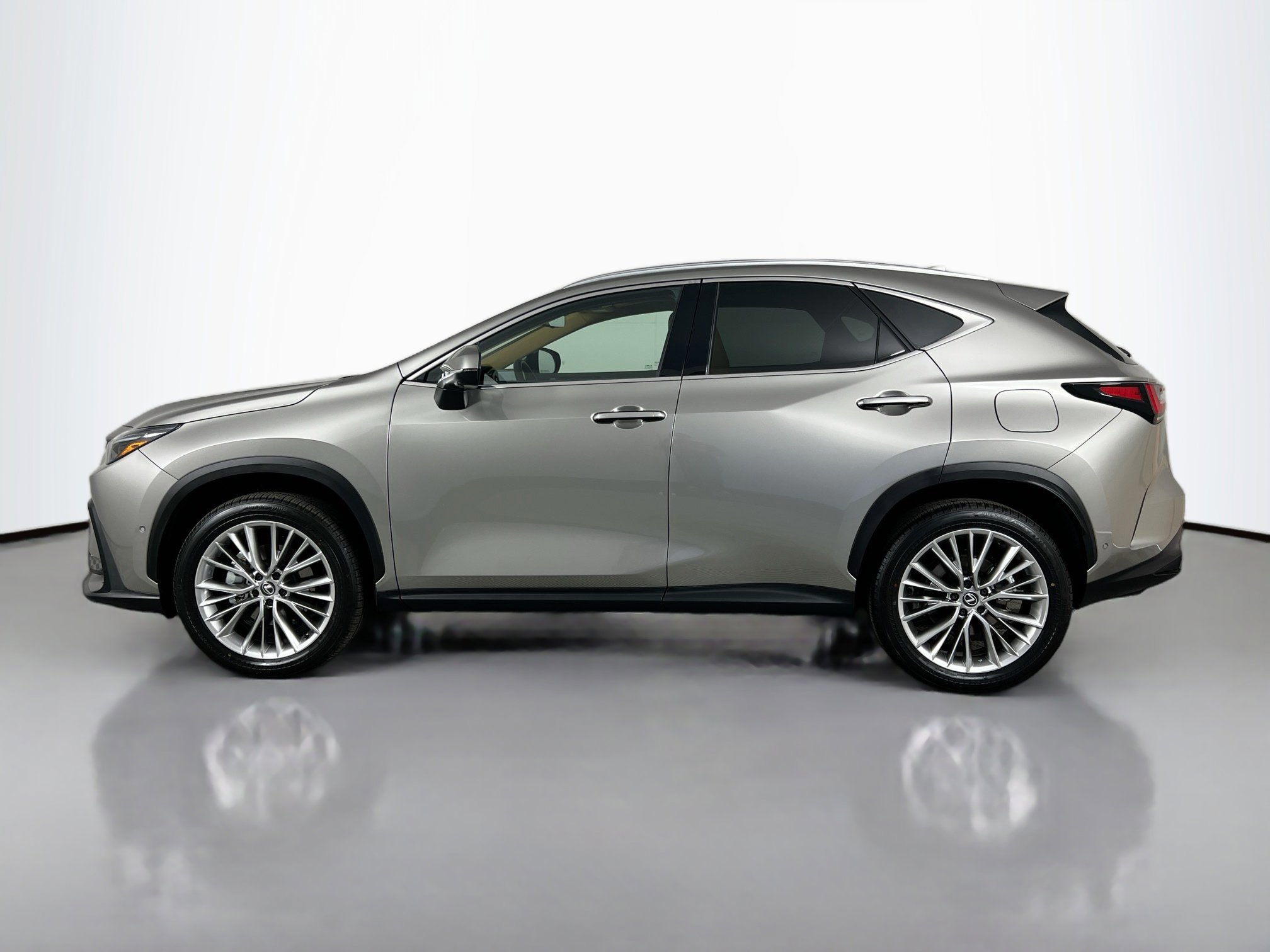 2025 Lexus NX 350 Luxury photo 2