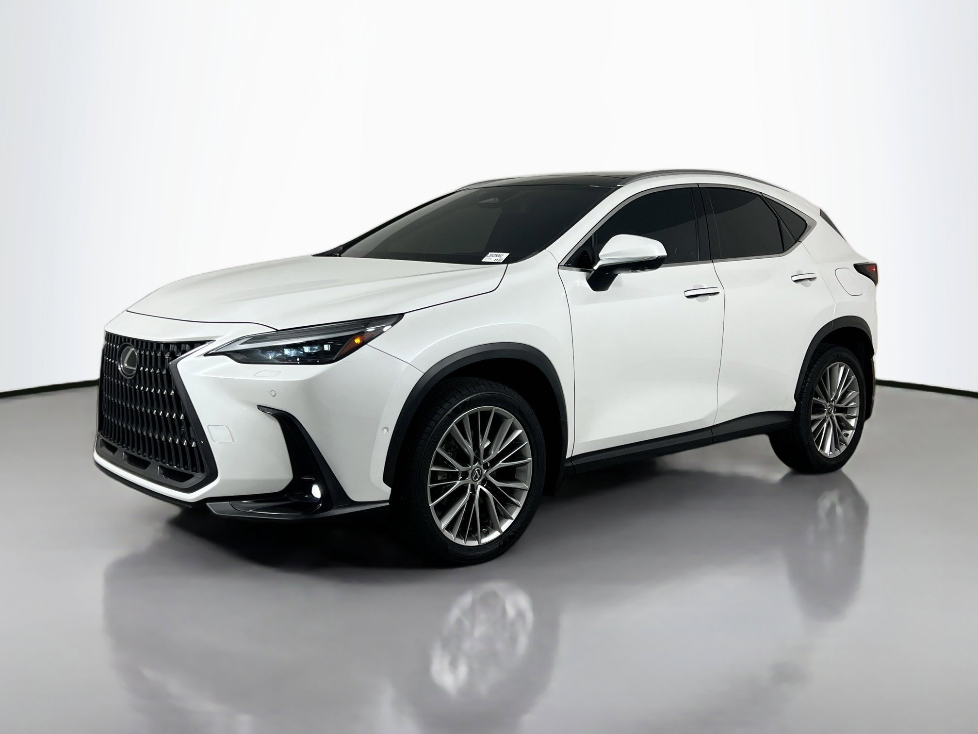 2022 Lexus NX 350h Luxury photo 4