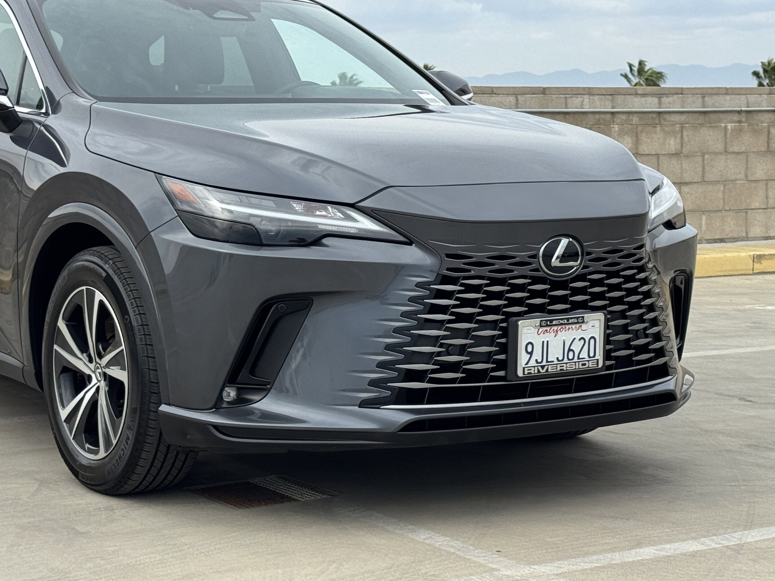 2024 Lexus RX 350 photo 3
