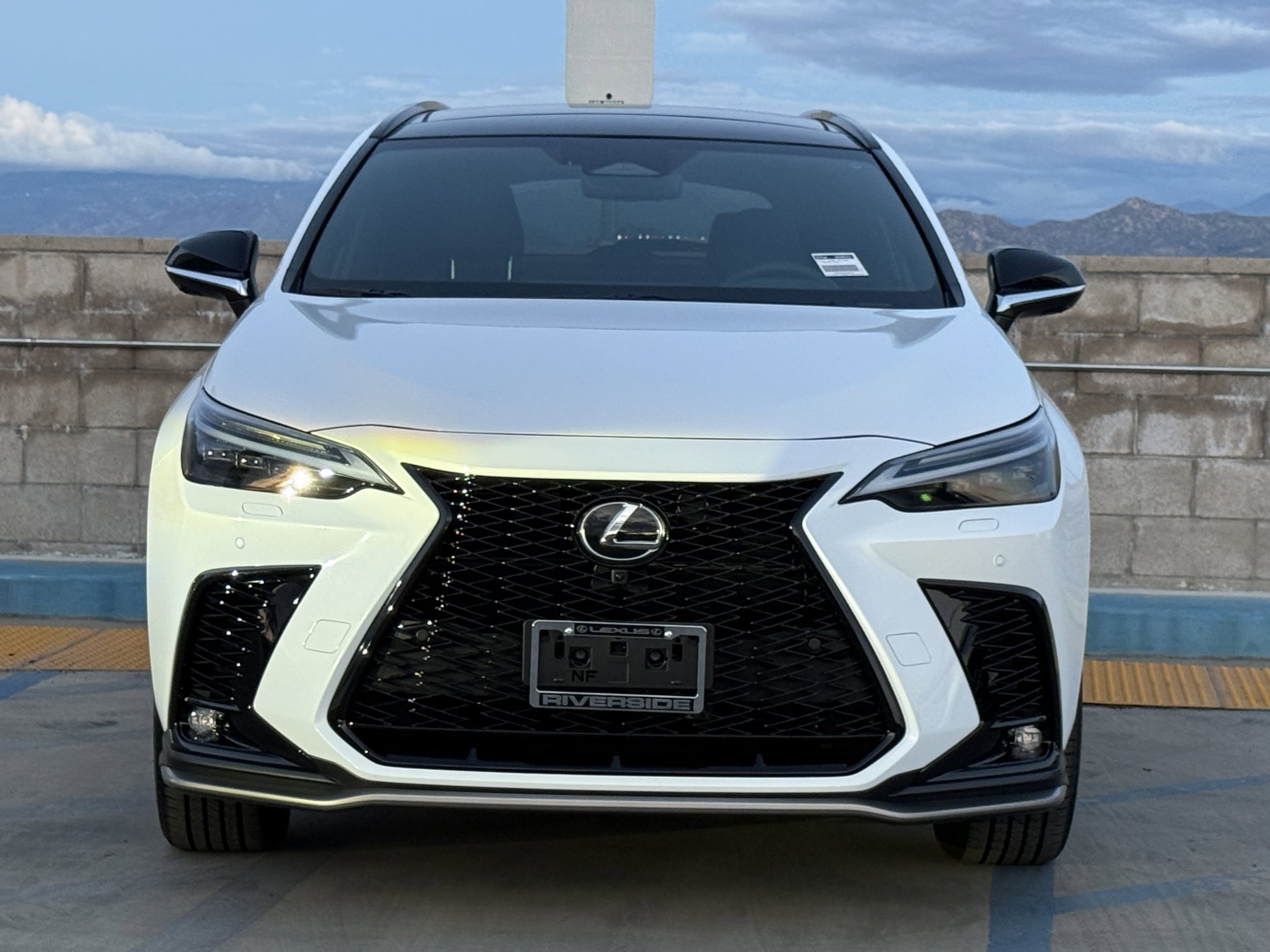 2026 Lexus NX 350h F-Sport - Photo 6