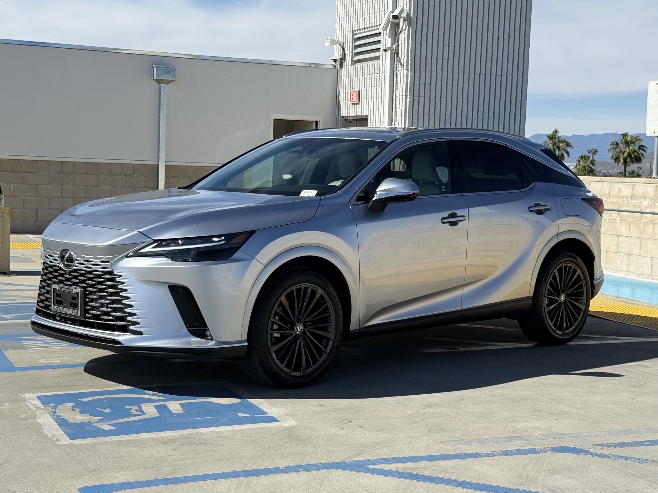 2025 LEXUS RX 350h Premium photo 6