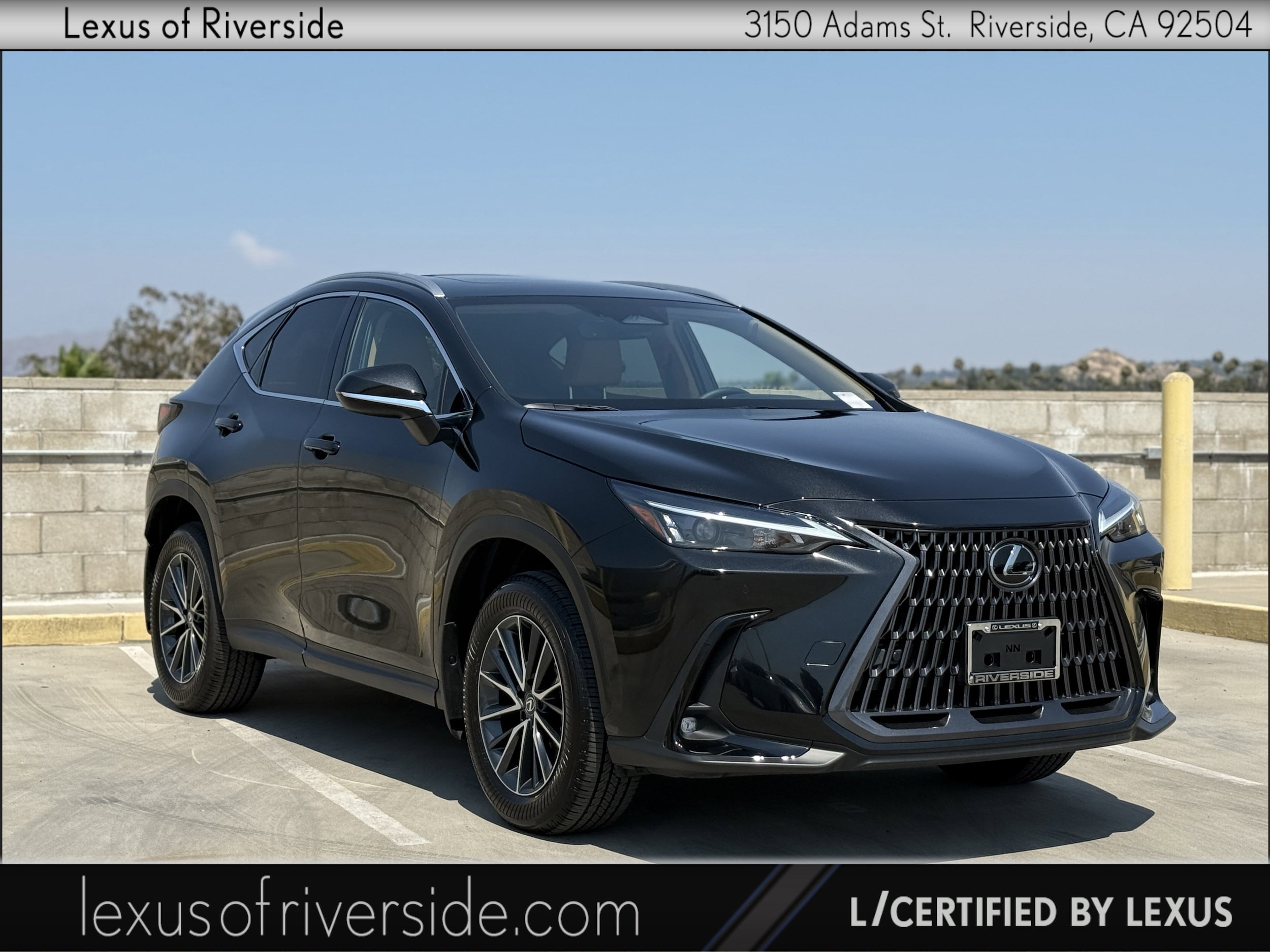 2025 Lexus NX 250 Premium
