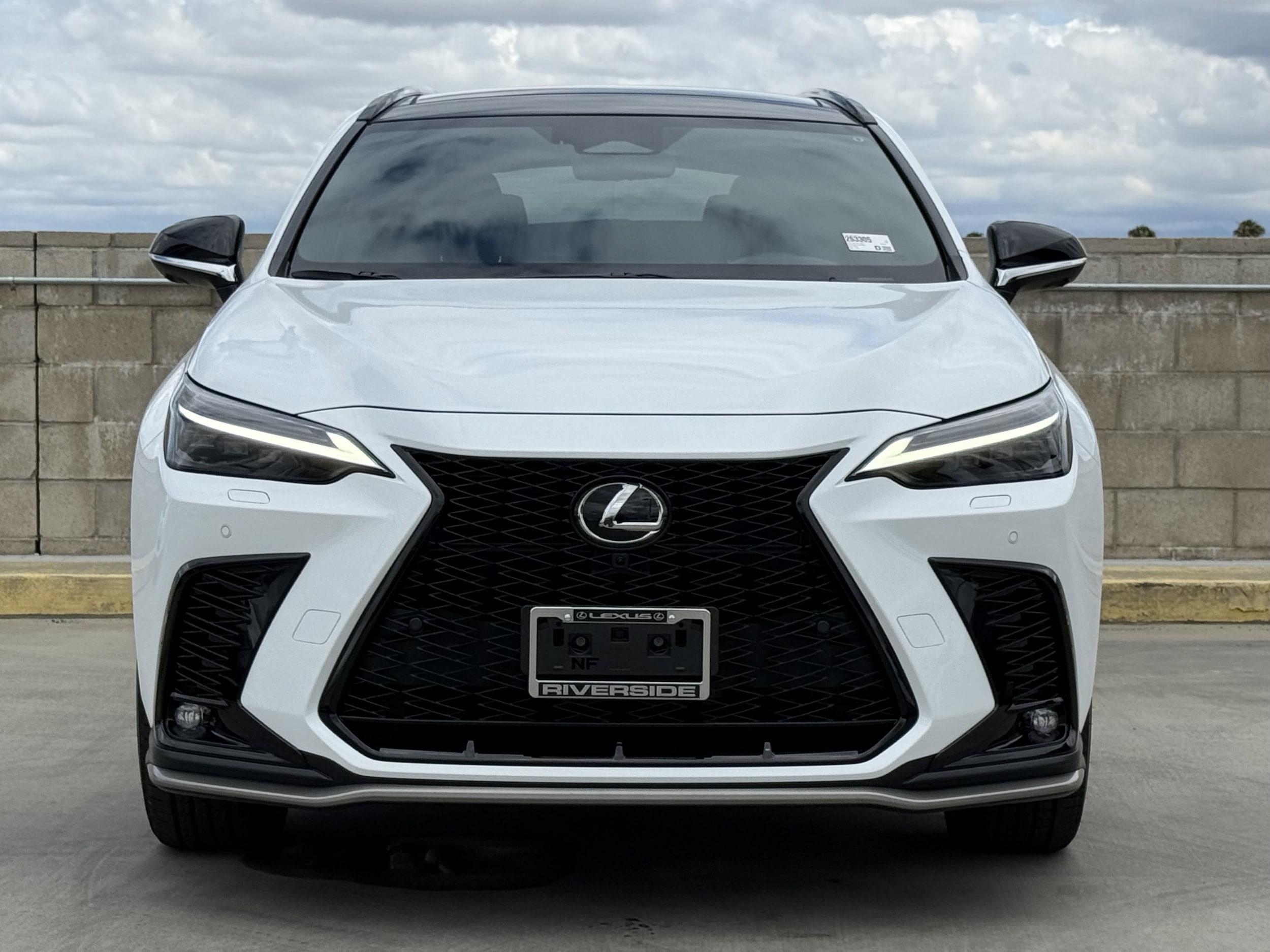 2026 Lexus NX 350h F-Sport - Photo 6