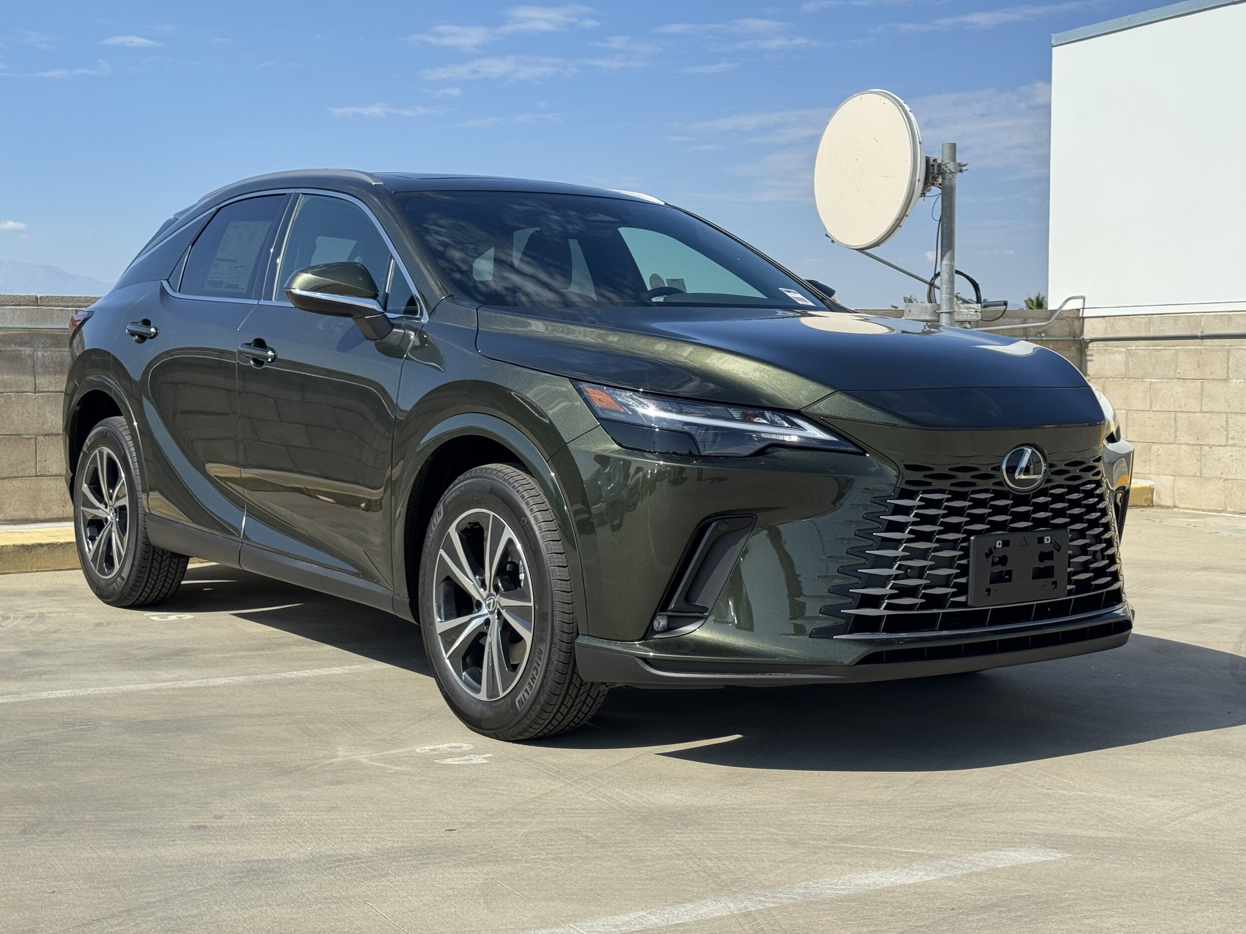 2025 Lexus RX 350 photo 2