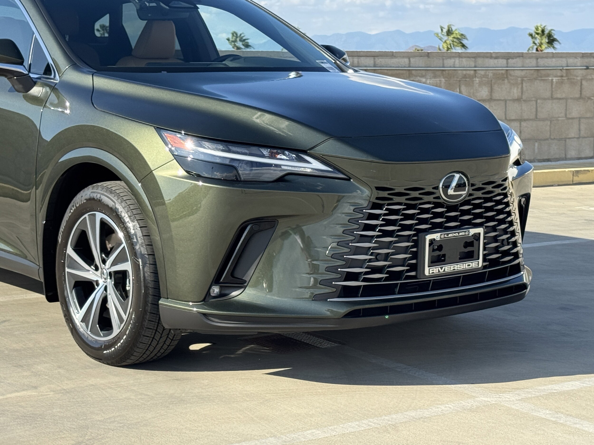2024 Lexus RX 350 Premium photo 3